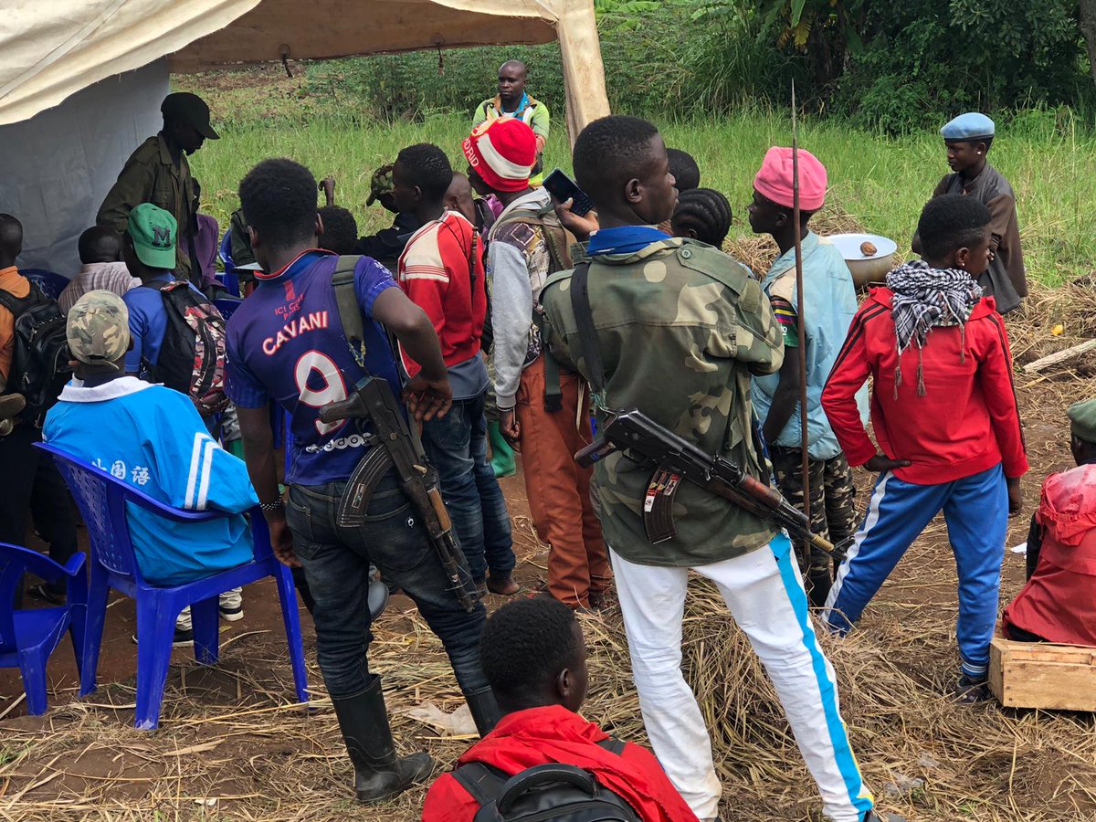 Patriotic Resistance Force (FRPI)