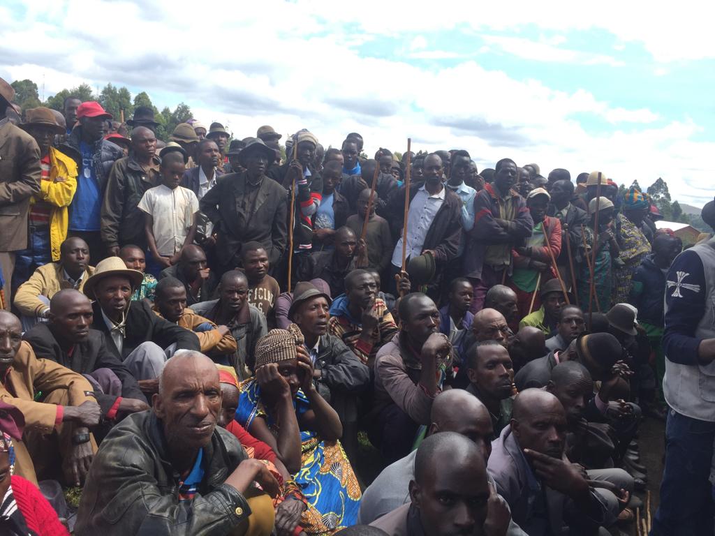 STRATEGIES AGAINST ADF